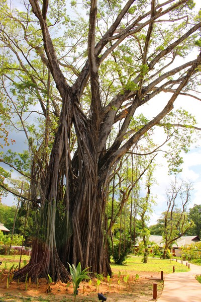 The H Resort Beau Vallon Beach Seychelles Jewel Of The Indian Ocean